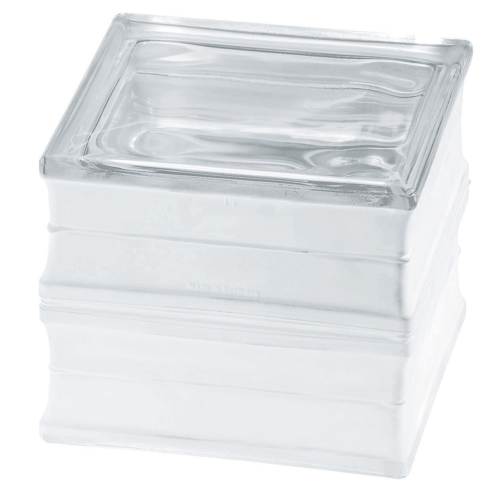 Quality Glass Block 1919/16 60F Clearview Euro Fire Resistant