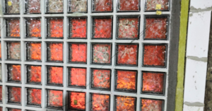 Quality Glass Block - Blog Post Featured Images 17